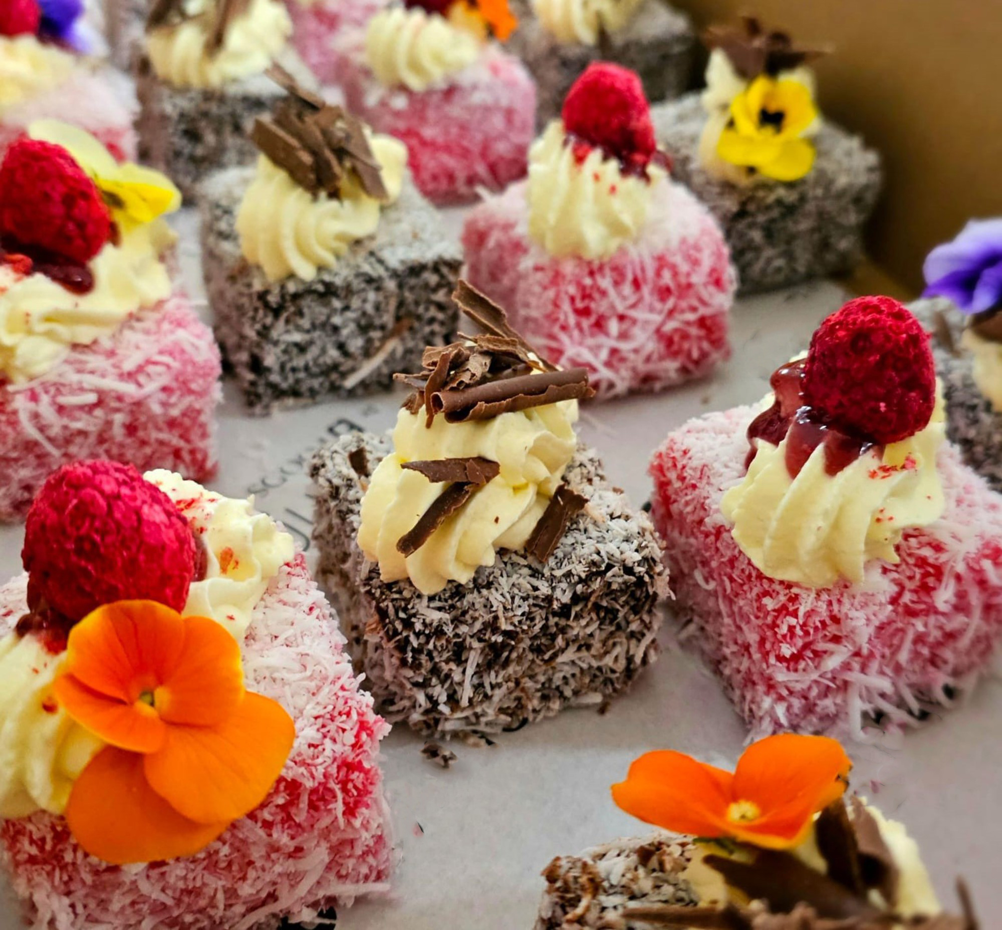 Chocolate or Raspberry Lamingtons